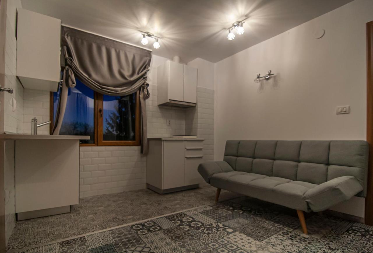 Apartment Seven House Covasna